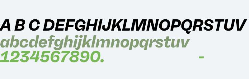 RB Freigeist Neue Test ExtraBold
