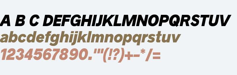 Radnika Black Italic
