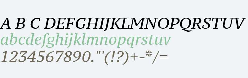 PT Serif Caption Italic V2