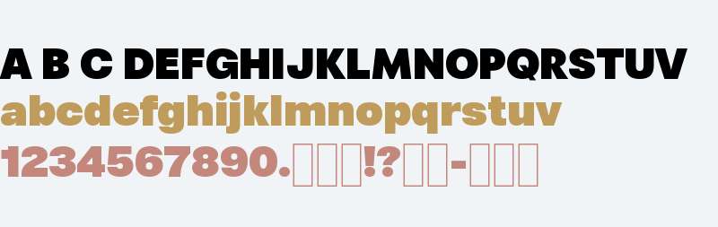 RST Reactor (TRIAL) Black