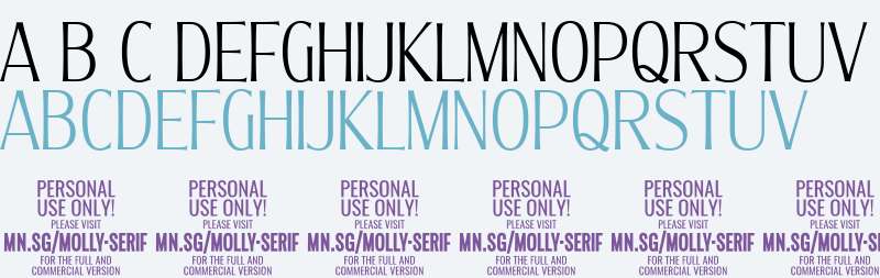 Molly Serif XC PERSONAL Thin