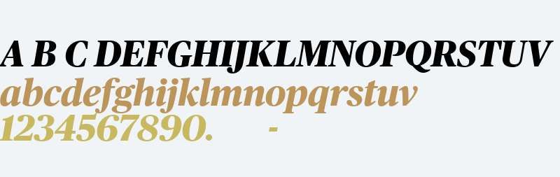 Publico Headline Web Exbold Italic