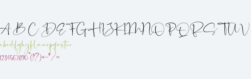 Senorita Signature