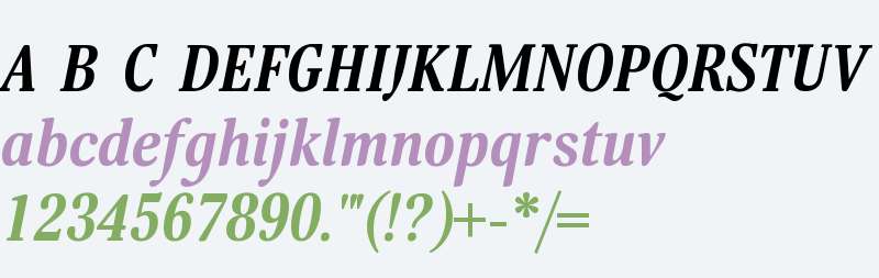 Margon 400 Bold Italic W08 Rg