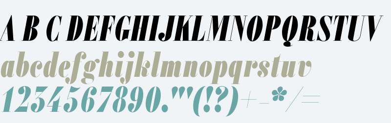 Alias Didot W00 Black Italic