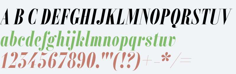 Alias Didot W00 Bold Italic