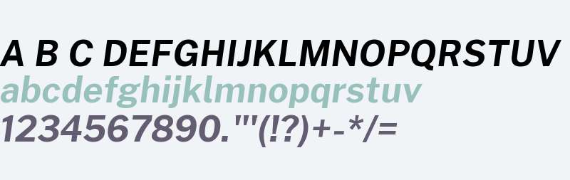 Public Sans Bold Italic