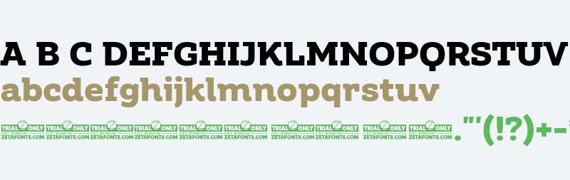 Amazing Slab Trial Extrabold