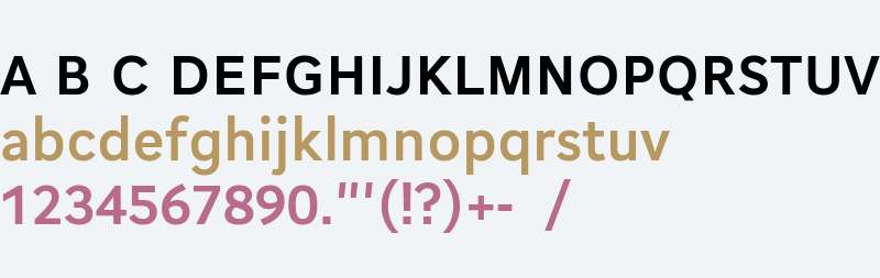 CogitoWeb Bold