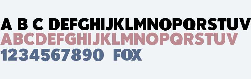 FOX Logo