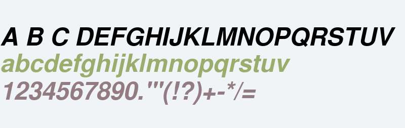 NimbusSanL W06 Bold Italic