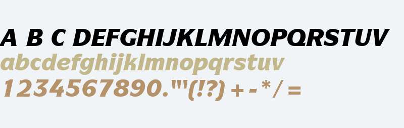 ITC Symbol W01 Black Italic