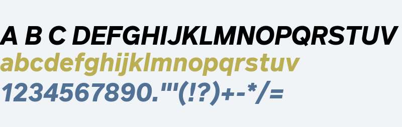 FF Infra Bold Italic