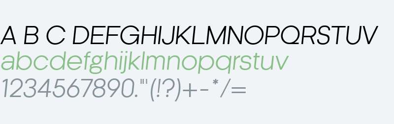 Kamerik205 Regular 2