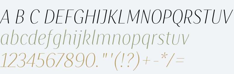 Saya SmSans FY W01 Thin Italic