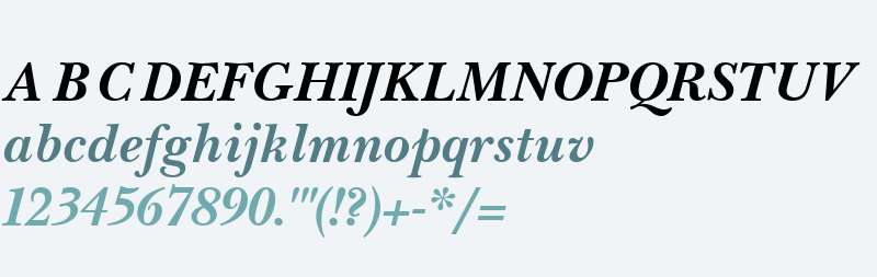 New Bold Italic