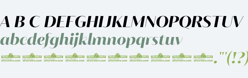 Blacker Sans Display Trial Extrabold Italic