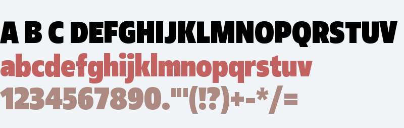 Fact Condensed Black