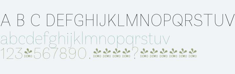 FSP DEMO - Klainy Thin