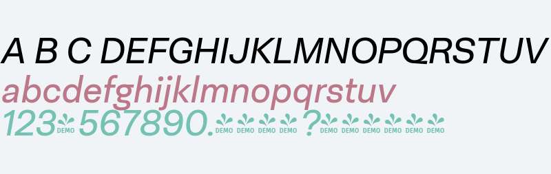 FSP DEMO - Neogrotesk Pro It