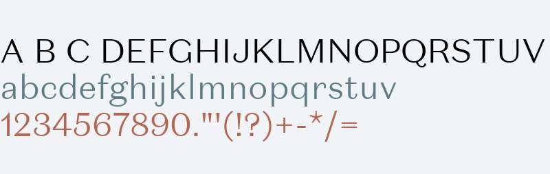 Domaine Sans Text Light Regular