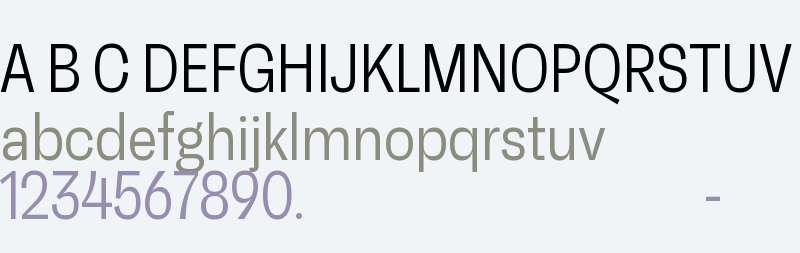 RB Faktum Neue Condensed Test Light