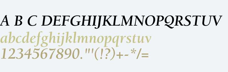 ITC Berkeley Oldstyle Bold Italic