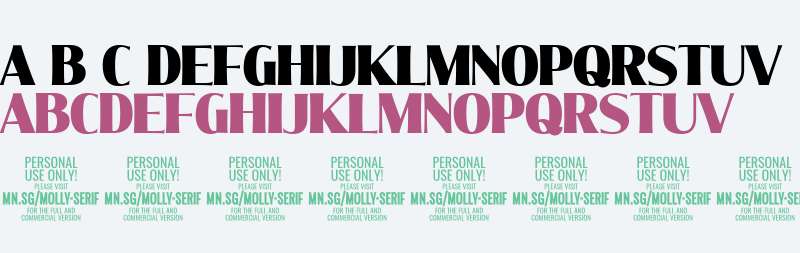 Molly Serif C PERSONAL Black