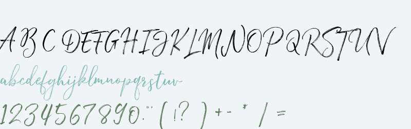 ExperimentBrushScript