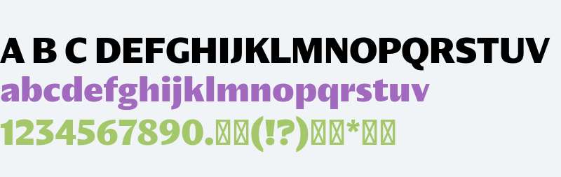 NaN Druid Sans-TRIAL Black