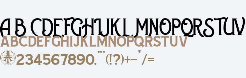 Chemvre Personal Use Only Regular