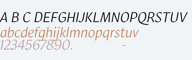 Robinson Web Light Italic