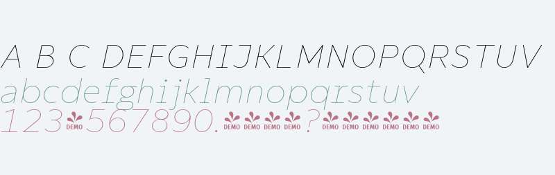 FSP DEMO - Compiler Thin Italic