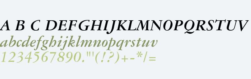 Garamond 3 W01 Bold Italic