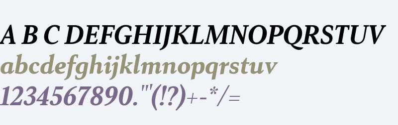 Senlot Serif Norm Black Italic