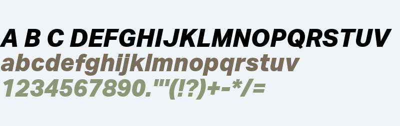 Aktiv Grotesk W01 XBold Italic