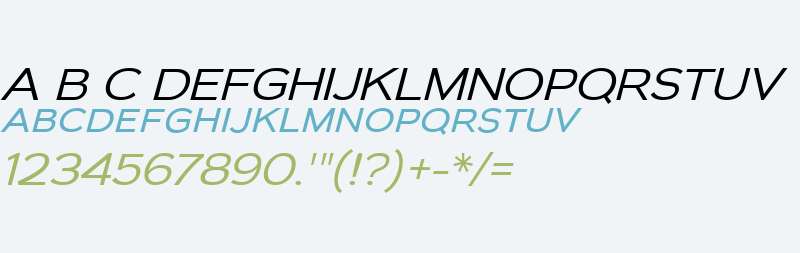 Biondi Sans W00 Book Italic