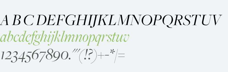 FreightBigBookItalic