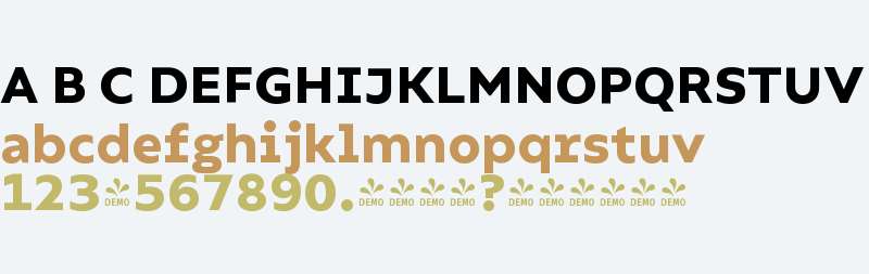 FSP DEMO - Compiler Extra Bold