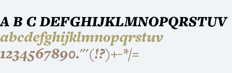 FreightText W03 Black Italic