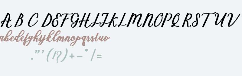 Marcela Script