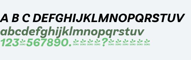 FSP DEMO - Klainy Bold Italic