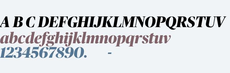 Publico Banner Web Bold Italic