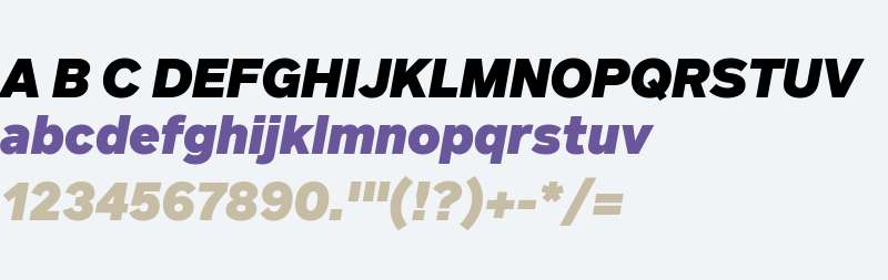 FF Infra Black Italic