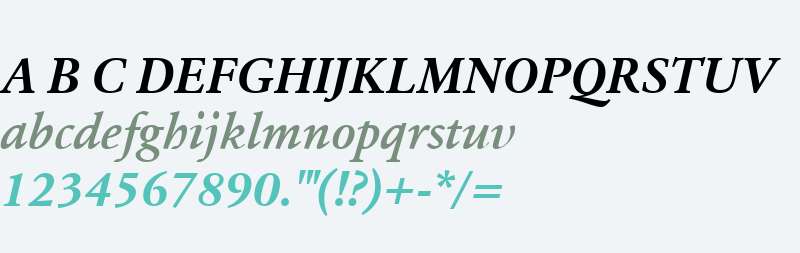 Erato W01 Bold Italic