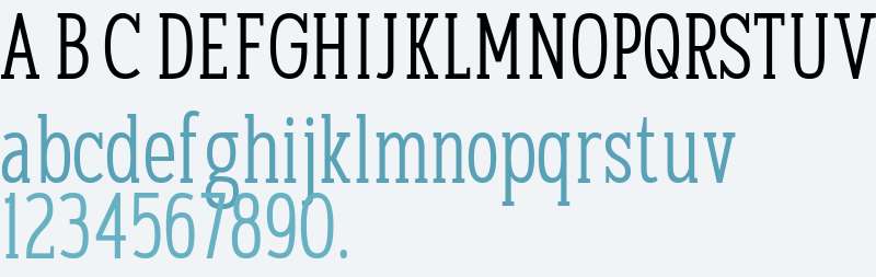 TBJ Goslap Thin Cond Text
