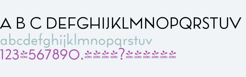 FSP DEMO - Wright Pro