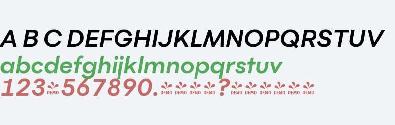 FSP DEMO - Flink Bold Italic