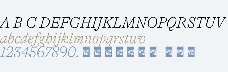 GT Alpina Trial Thin Italic