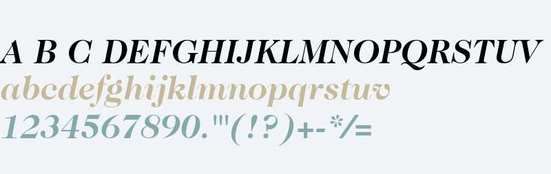 ITC Caslon 224 W01 Bold Italic